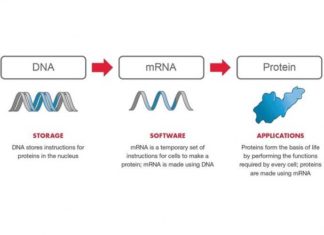 Het mRNA Covidvaccin is geen vaccin