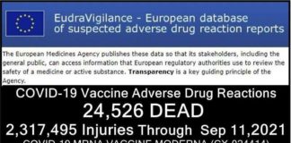 24.526 DODEN 2.317.495 GEWONDEN na COVID-19 injecties gemeld in databank van ongewenste bijwerkingen van geneesmiddelen van de Europese Unie