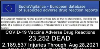 23.252 DODEN 2.189.537 GEWONDEN (50% ernstig) na COVID-19 injecties gemeld in databank van ongewenste bijwerkingen van geneesmiddelen van de Europese Unie