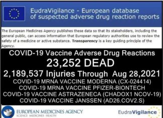 23.252 DODEN 2.189.537 GEWONDEN (50% ernstig) na COVID-19 injecties gemeld in databank van ongewenste bijwerkingen van geneesmiddelen van de Europese Unie
