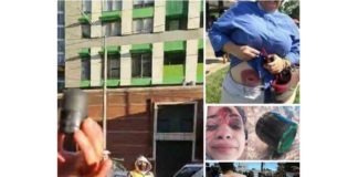 REVOLUTIE! Demonstranten geleid door bouwvakkers in Melbourne sluiten belangrijke snelwegen af vanwege COVID-tirannie en verplichte inentingen