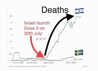 Het grote sterven is begonnen: De vaccinatiepandemie onthult de genocide