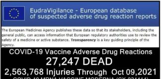 27.247 DODEN 2.563.768 GEWONDEN na COVID-19 injecties in Europese databank – Taiwan registreert meer sterfgevallen door vaccin dan door virus