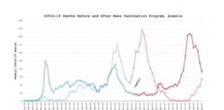 Data-analyse in de vorm van een video laat zien hoe het aantal sterfgevallen explodeert nadat Corona-vaccinatie begint