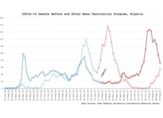 Data-analyse in de vorm van een video laat zien hoe het aantal sterfgevallen explodeert nadat Corona-vaccinatie begint