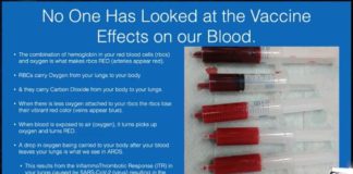 Dr. Richard Fleming: Pfizer vaccin valt menselijk bloed aan en creëert stolsels onder microscoop