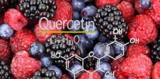 Beter dan Hydroxychloroquine? Twee nieuwe studies tonen aan dat Quercetine de resultaten van COVID verbetert – Gemakkelijker te verkrijgen