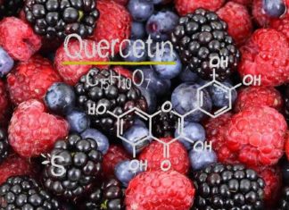Beter dan Hydroxychloroquine? Twee nieuwe studies tonen aan dat Quercetine de resultaten van COVID verbetert – Gemakkelijker te verkrijgen