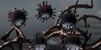 De doorbraakvariant van het lekke vaccin is een feit