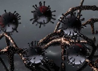 ‘Superverkoudheid’, ‘zware griep’, ‘ADE’ OF ‘auto-immuniteit’ – Wat hebben vooral gevaccineerden deze winter echt te vrezen?