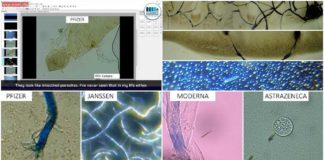 Waarnemingen van mogelijke microbiota in COVID mRNA-vaccins door Dr. Pablo Campra Madrid