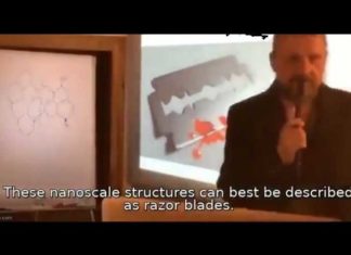Dr. Andreas Noack vermoord door Duitse politie?