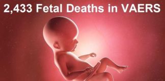 2.433 Amerikaanse dode baby’s in VAERS terwijl nieuwe studie aantoont dat mRNA-prikken niet veilig zijn voor zwangere vrouwen