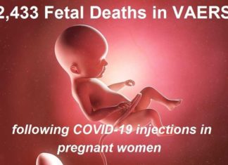 2.433 Amerikaanse dode baby’s in VAERS terwijl nieuwe studie aantoont dat mRNA-prikken niet veilig zijn voor zwangere vrouwen