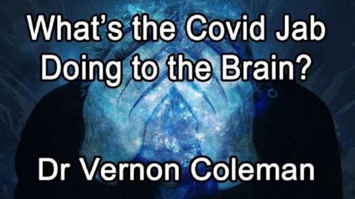 Brain