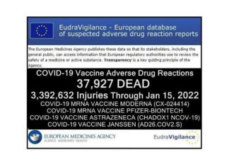 37.927 doden 3.392.632 gewonden na COVID-injecties in Europese databank terwijl jonge mensen blijven sterven