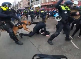 Amsterdam: Anti-Lockdown demonstranten gemolesteerd door politiehonden en mishandeld met wapenstokken