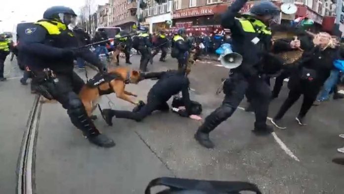 Anti-Lockdown demonstranten gemolesteerd door politiehonden