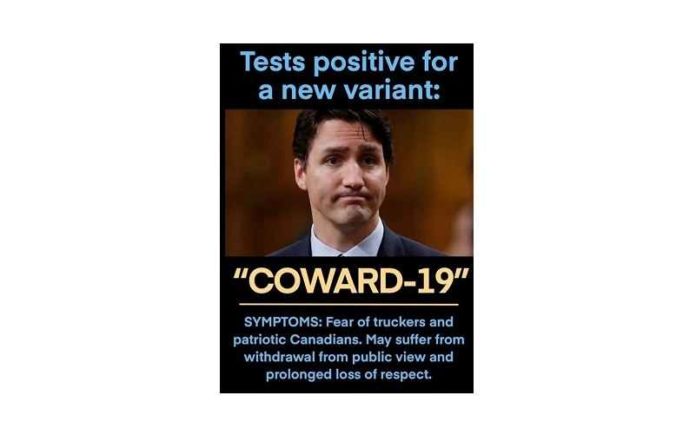 Coward-19 front