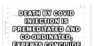 Dood door Covid-injectie is met voorbedachte rade en gecoördineerd, concluderen deskundigen