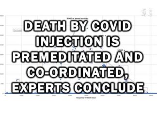 Dood door Covid-injectie is met voorbedachte rade en gecoördineerd, concluderen deskundigen