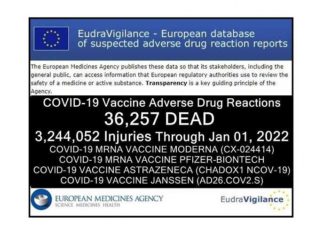 36.257 doden 3.244.052 gewonden na COVID-injecties in Europese databank van ongewenste bijwerkingen