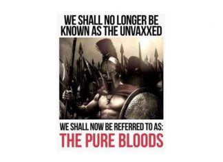 Wat wij van de oude Spartanen kunnen leren over moed