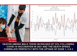Het aantal sterfgevallen onder mannelijke tieners steeg met 53% na de Covid-19 vaccinatie in 2021 en de sterftepieken correleren perfect met de inname van dosis 1, 2 & 3