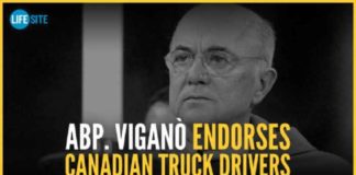 De Italiaanse aartsbisschop Carlos Maria Vigano steunt de Canadese vrachtwagenchauffeurs tegen de Nieuwe Wereldorde (Nederlands Transcript)