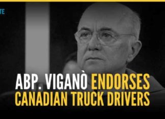 De Italiaanse aartsbisschop Carlos Maria Vigano steunt de Canadese vrachtwagenchauffeurs tegen de Nieuwe Wereldorde (Nederlands Transcript)