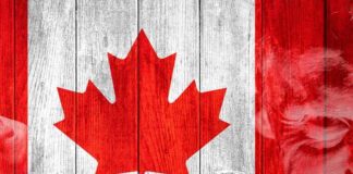 Canadese regering neemt haar toevlucht tot FINANCIEEL TERRORISME tegen vreedzame vrijheidskonvooi demonstranten, wat aantoont waarom wij het volk BANKEN nooit kunnen vertrouwen