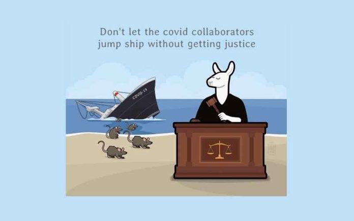 Covid collaborators front