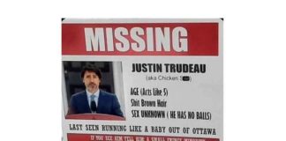 Liberale stafleden onthullen Trudeau “in paniek, bezorgd, aangeslagen” & Trudeau’s broer onthult: “Het beleid dat hij aanstuurt, komt van hogerhand, van groepen zoals het Wereld Economisch Forum”