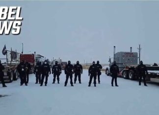 Bezetting Ottawa dag 4: Alle ogen gericht op Alberta nu truckers standvastig zijn tegen bedreigingen en politie zich terugtrekt