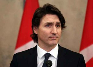 Tirannie: Trudeau dreigt met intrekking licenties truckers die deelnemen aan Freedom Convoy protest