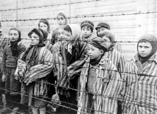 Holocaust-overlevende: Beleid nazi-tijdperk en COVID-beleid vertonen veel gelijkenissen