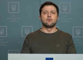 Enkele gedachten over het Zelensky regime