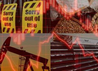 Stijgende olieprijzen, energie- en voedselcrisissen aan de horizon… is het mogelijk dat wij het ECHTE doelwit van deze economische oorlog zijn?
