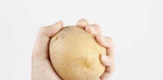 IMF waarschuwt nu dat voedseltekorten overal ter wereld golven van sociale onrust zullen veroorzaken – “Hel op aarde”