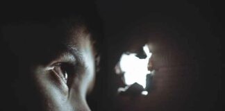 Epstein vóór Epstein: het vergeten eiland voor elite-pedofielen dat bescherming op hoog niveau aan het licht bracht