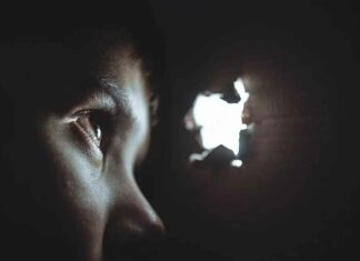 Epstein vóór Epstein: het vergeten eiland voor elite-pedofielen dat bescherming op hoog niveau aan het licht bracht