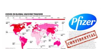 Vertrouwelijke Pfizer documenten onthullen dat Covid-19 vaccinatie tot ontvolking gaat leiden