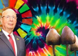 WEF Bad Trip: Globalisten willen ons met Psycho-Drugs “behandelen”