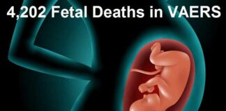 Op gerechtelijk bevel geopenbaarde Pfizer documenten onthulen dat 82% – 97% van de Pfizer COVID-19 gevaccineerde zwangere vrouwen hun baby’s verloren