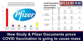 Nieuwe Studie en Pfizer documenten bewijzen dat COVID-19 vaccinatie massale ontvolking zal veroorzaken door onvruchtbaarheid en dood