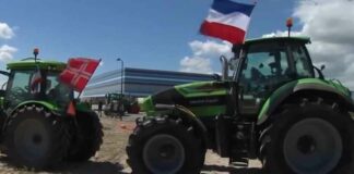 Een Nederlandse volksopstand tegen de elites heeft de wereld bereikt