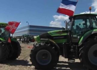 Een Nederlandse volksopstand tegen de elites heeft de wereld bereikt