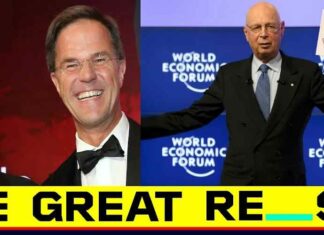 De reden waarom het kabinet David Icke de toegang tot Nederland weigert?