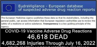 76.253 Doden 6.033.218 Gewonden in Europa en de VS na COVID-vaccins, met 4.358 Foetale Sterfgevallen in de VS