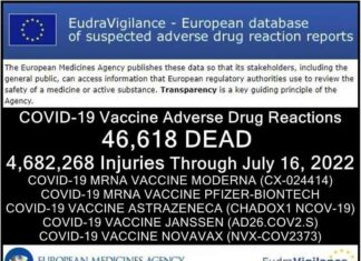 76.253 Doden 6.033.218 Gewonden in Europa en de VS na COVID-vaccins, met 4.358 Foetale Sterfgevallen in de VS